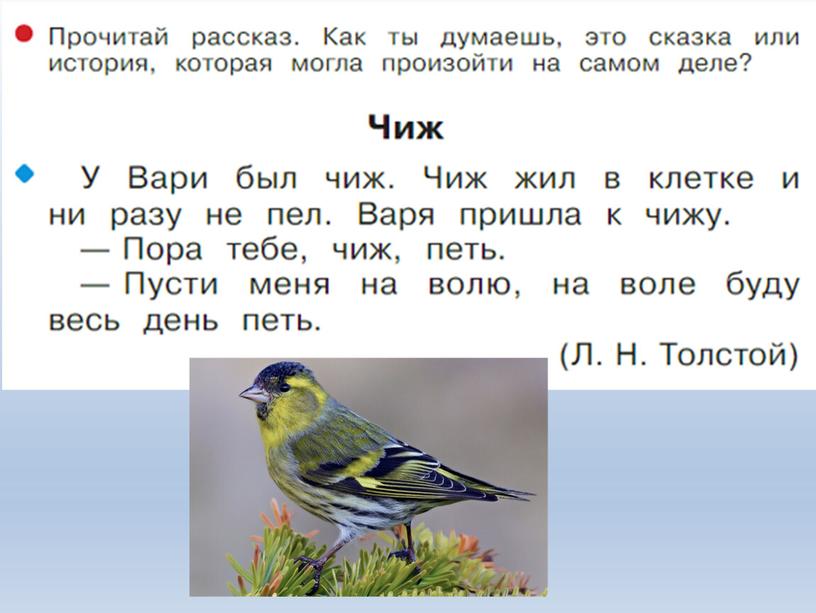 Презентация по литературному чтению для 1 класса на тему: "Буква Жж, звук [ж]".