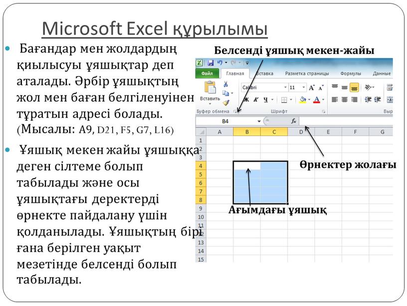 Microsoft Excel құрылымы Бағандар мен жолдардың қиылысуы ұяшықтар деп аталады