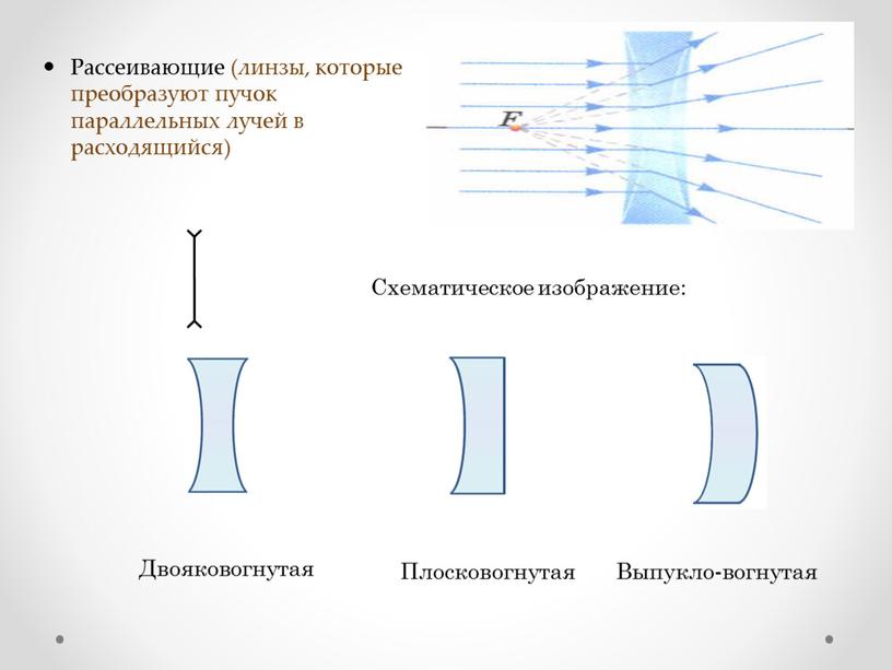 Схематическое изображение: Двояковогнутая