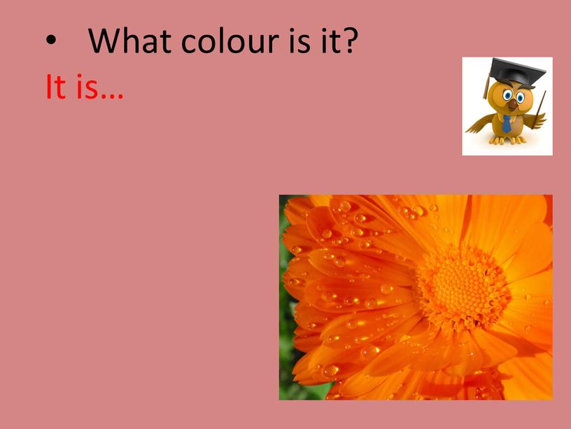 What colour is it? It is…