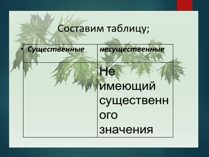 Презентация к уроку развития речи "Описание внешности"