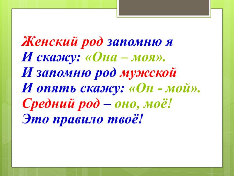 Женский род запомню я И скажу: «Она – моя»