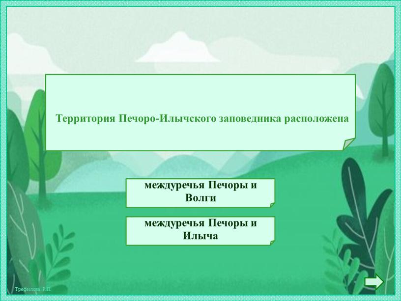 Территория Печоро-Илычского заповедника расположена междуречья