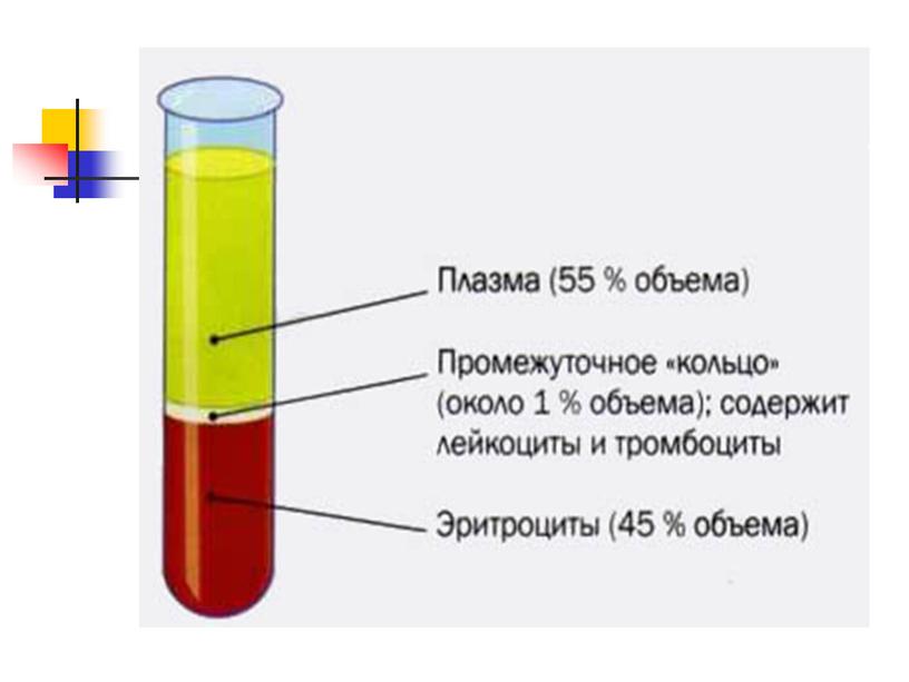 Технологическая карта урока окружающего мира на тему "Кровеносная система человека" (4 класс)