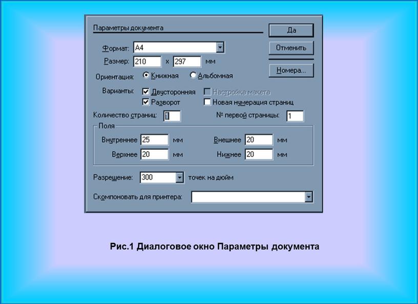 Рис.1 Диалоговое окно Параметры документа