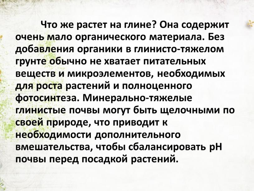 Что же растет на глине? Она содержит очень мало органического материала