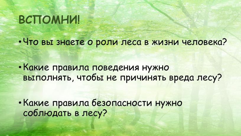 ВСПОМНИ! Что вы знаете о роли леса в жизни человека?