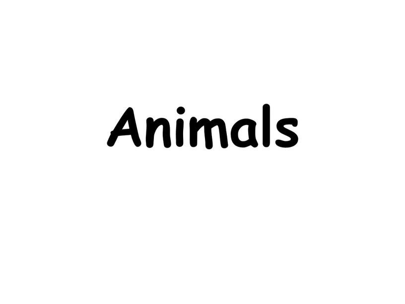 Animals