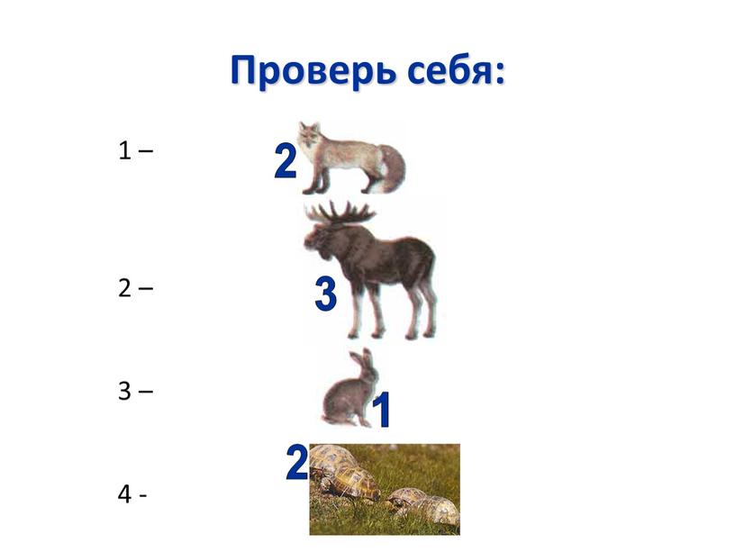 Проверь себя: 1 – 2 – 3 – 4 - 2 3 1 2