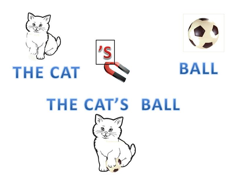 THE CAT BALL ’S THE CAT ’S