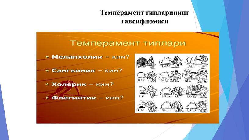 Темперамент типларининг тавсифномаси