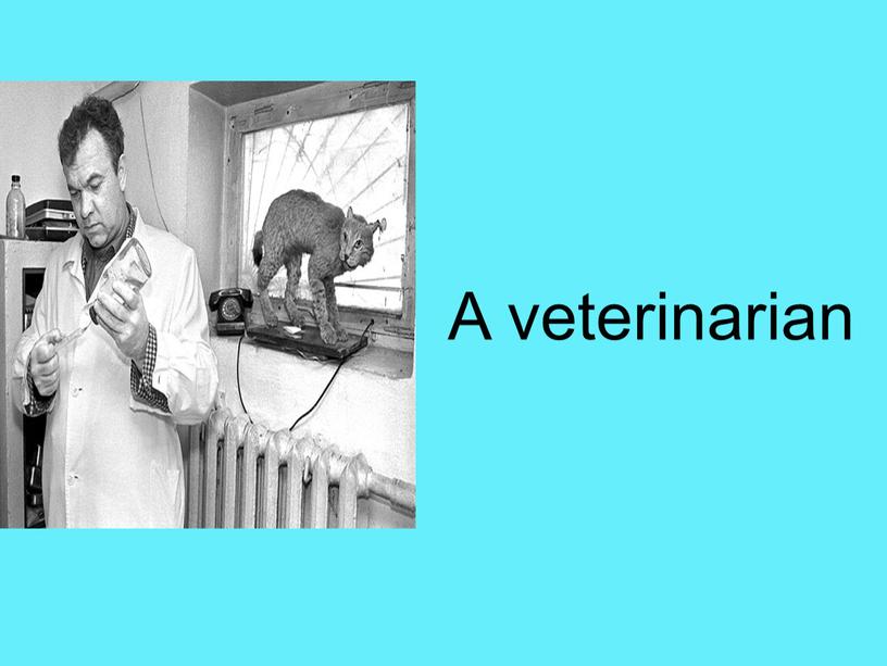 A veterinarian