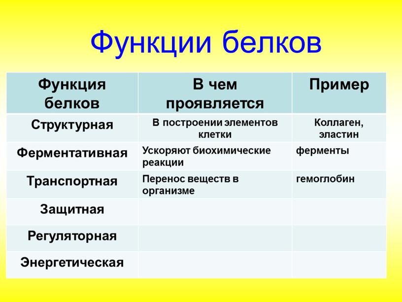 Функции белков Функция белков В чем проявляется