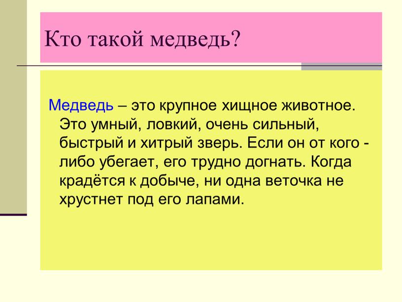 Кто такой медведь? Медведь – это крупное хищное животное