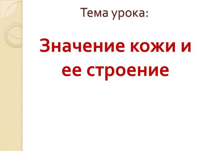 Тема урока: Значение кожи и ее строение