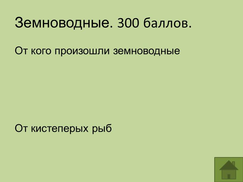 Земноводные. 300 баллов. От кого произошли земноводные