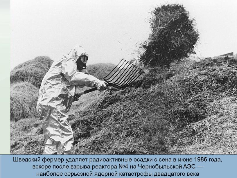 Шведский фермер удаляет радиоактивные осадки с сена в июне 1986 года, вскоре после взрыва реактора №4 на
