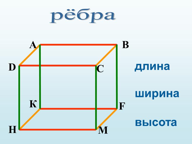 рёбра длина ширина высота