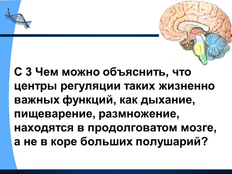 С 3 Чем можно объяснить, что центры регуляции таких жизненно важных функций, как дыхание, пищеварение, размножение, находятся в продолговатом мозге, а не в коре больших…