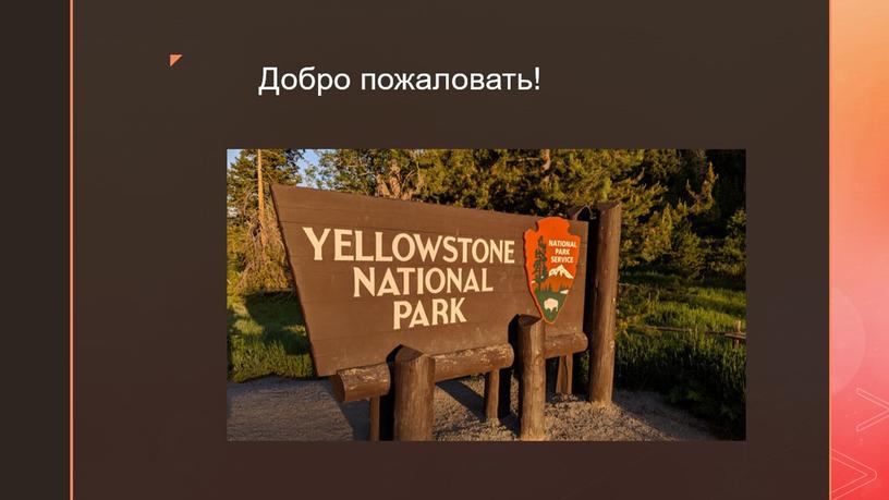 Йеллоустонский Национальный парк
