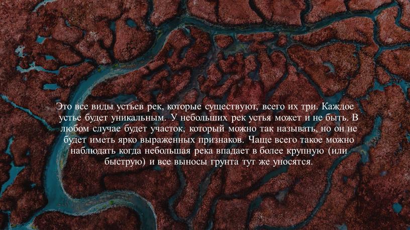 Это все виды устьев рек, которые существуют, всего их три