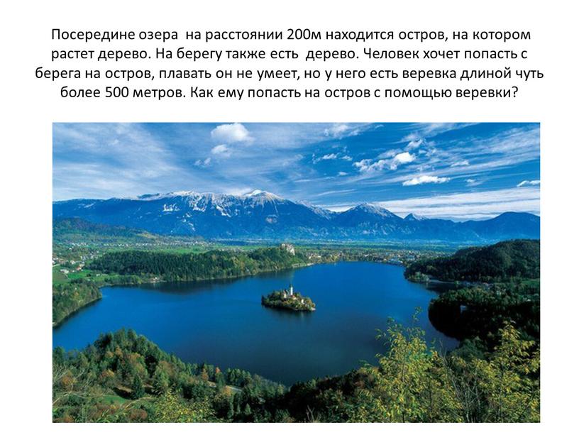 Посередине озера на расстоянии 200м находится остров, на котором растет дерево