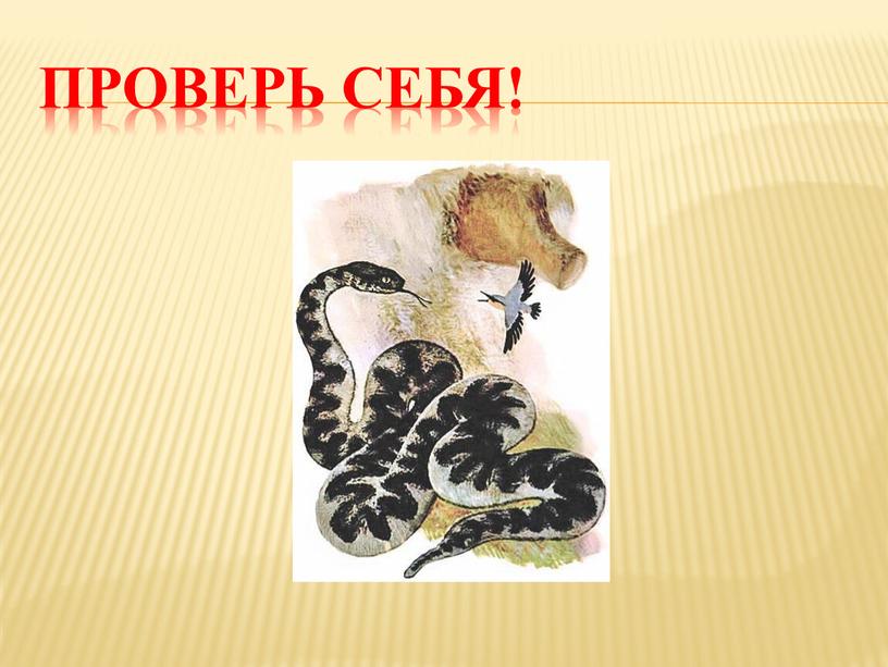 ПРОВЕРЬ СЕБЯ!