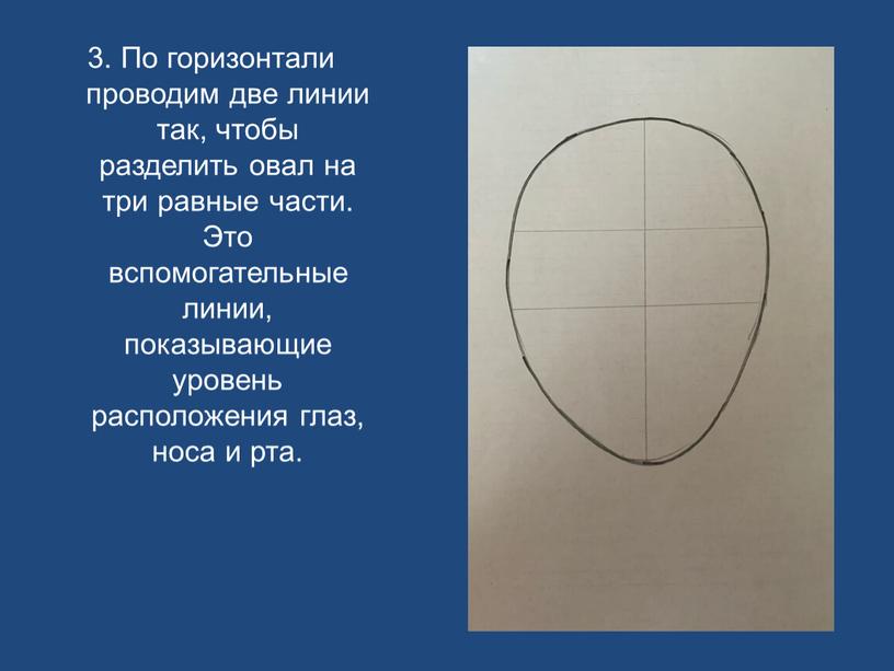 По горизонтали проводим две линии так, чтобы разделить овал на три равные части