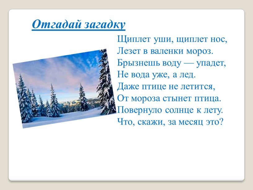 Отгадай загадку Щиплет уши, щиплет нос,