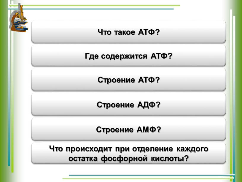 Универсальный источник энергии для всех реакций, протекающих в организме