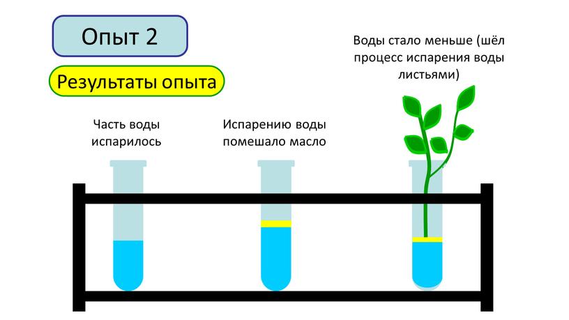 Опыт 2 Результаты опыта Часть воды испарилось