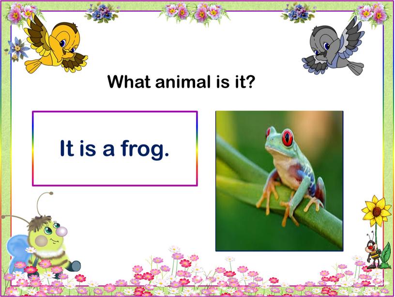 What animal is it? It is a frog