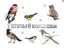 Презентация для начальной школы по окружающему миру "Оседлые птицы"