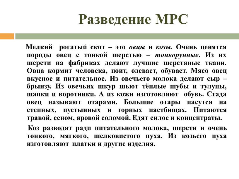 Разведение МРС Мелкий рогатый скот – это овцы и козы