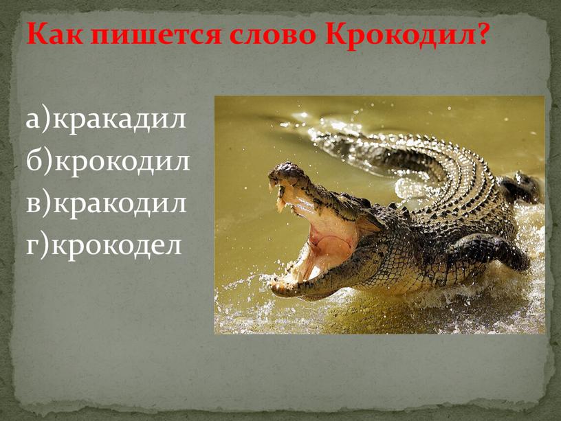 Как пишется слово Крокодил? а)кракадил б)крокодил в)кракодил г)крокодел