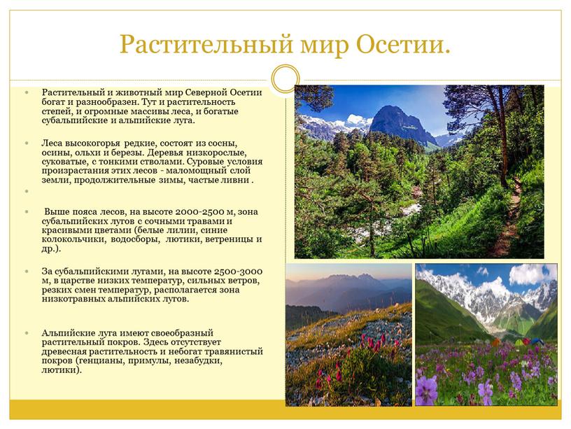 Растительный мир Осетии. Растительный и животный мир
