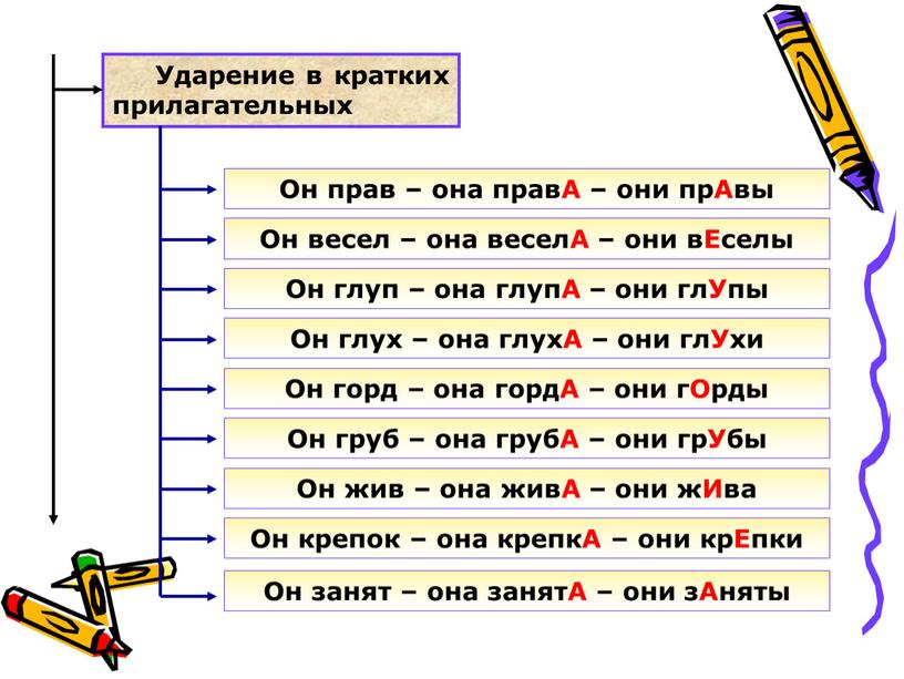 Ударение в кратких прилагательных