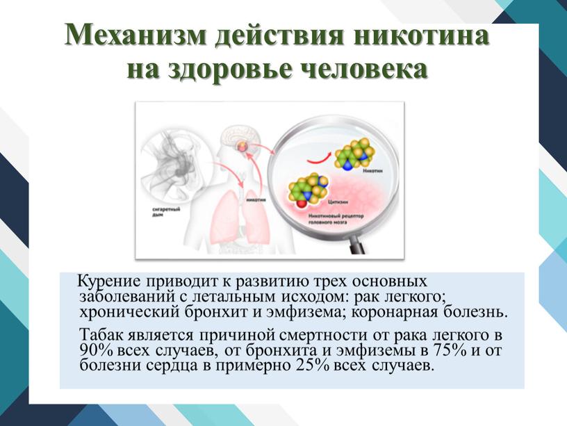 Механизм действия никотина на здоровье человека