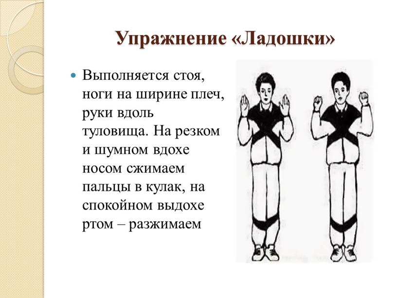 Упражнение «Ладошки» Выполняется стоя, ноги на ширине плеч, руки вдоль туловища