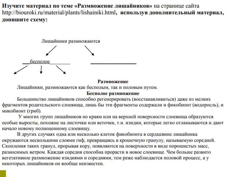 Лишайники, 7 класс, биология