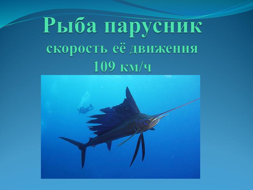 Рыба парусник скорость её движения 109 км/ч