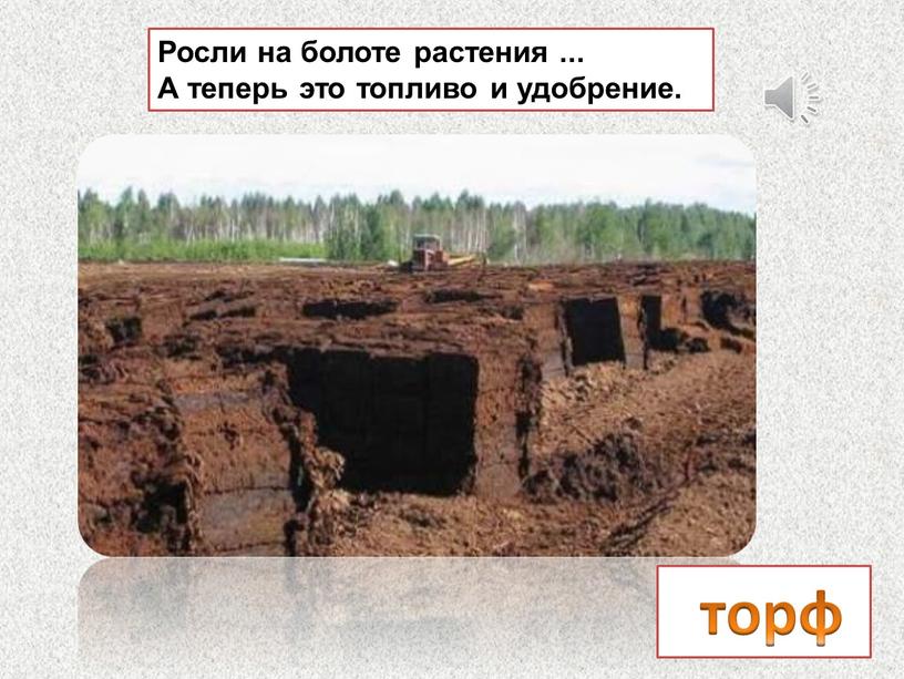 Росли на болоте растения ... А теперь это топливо и удобрение