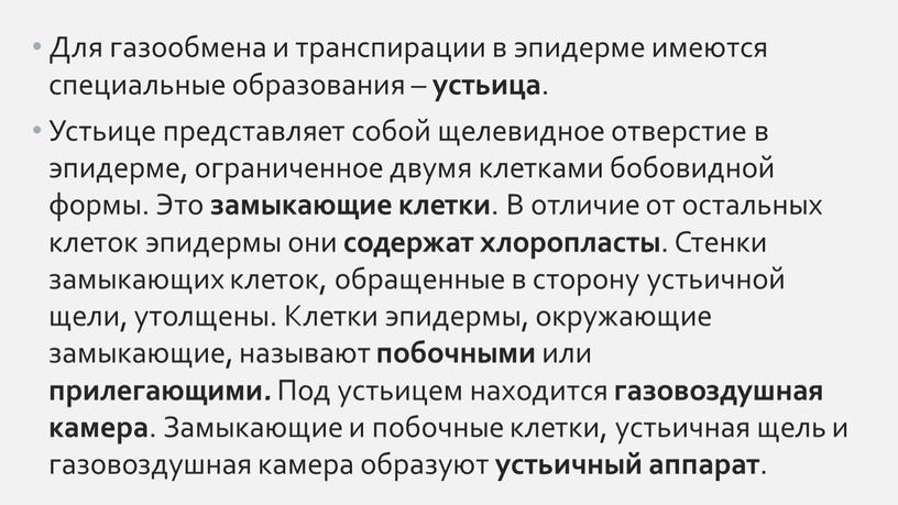 Для газообмена и транспирации в эпидерме имеются специальные образования – устьица