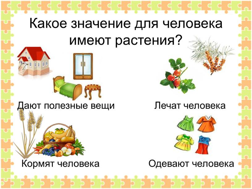 Какое значение для человека имеют растения?