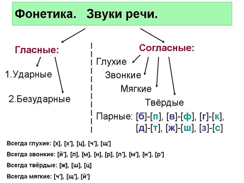 Русский язык "Звуки и буквы"