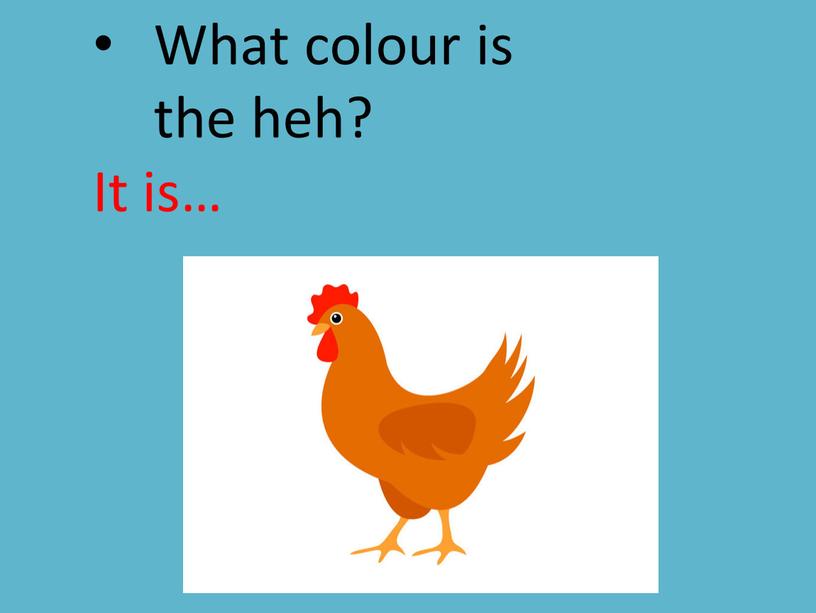 hen What colour is the heh? It is…