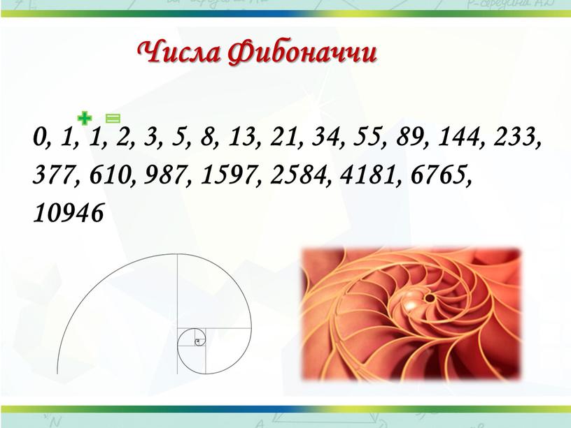 Числа Фибоначчи 0, 1, 1, 2, 3, 5, 8, 13, 21, 34, 55, 89, 144, 233, 377, 610, 987, 1597, 2584, 4181, 6765, 10946