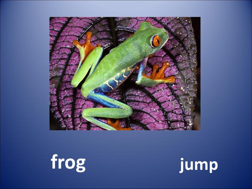 frog jump