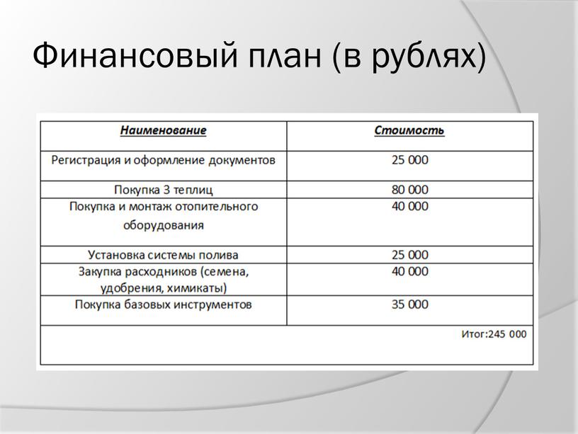 Финансовый план (в рублях)