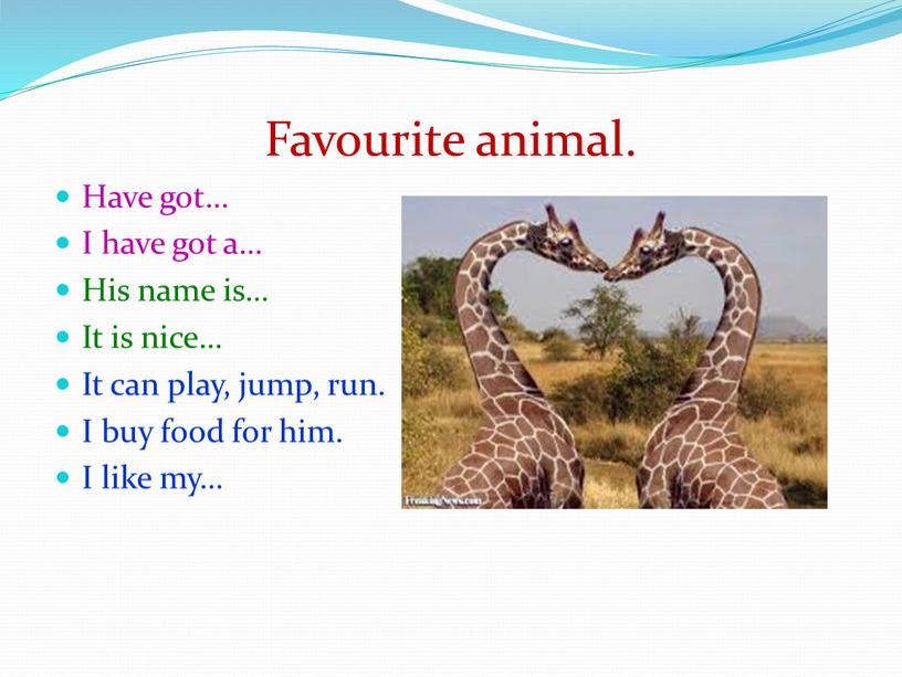 Favourite animal. Have got… I have got a…